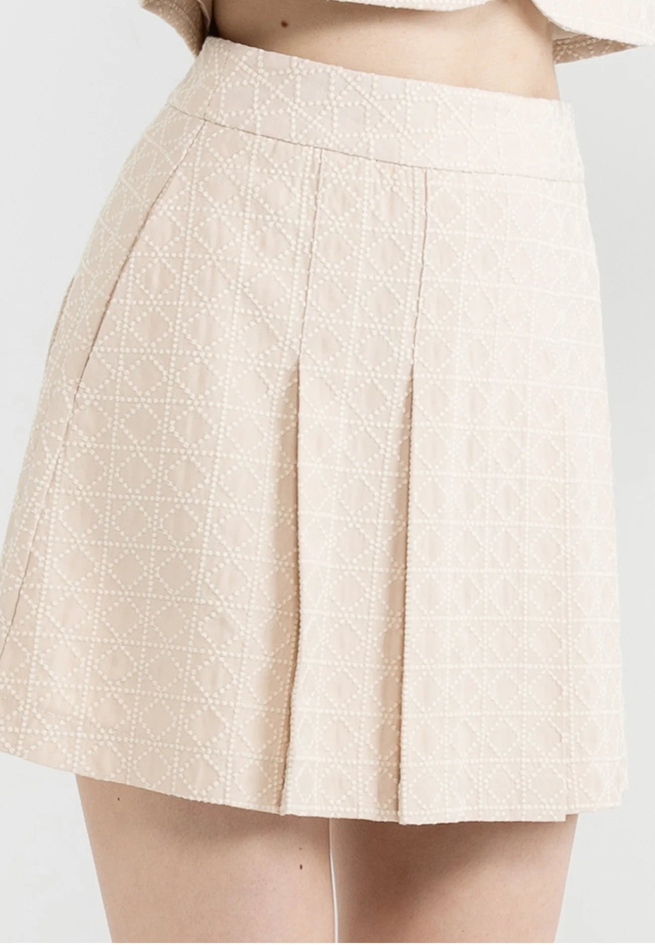 ELLE Apparel Vintage Pleated Embroidery Mini Skirt